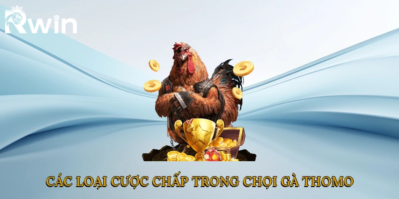 Các loại cược chấp trong chọi gà Thomo là gì?
