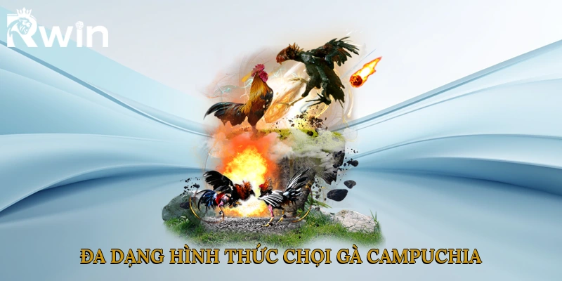 Đa dạng hình thức chọi gà Campuchia