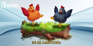 Đá Gà Campuchia