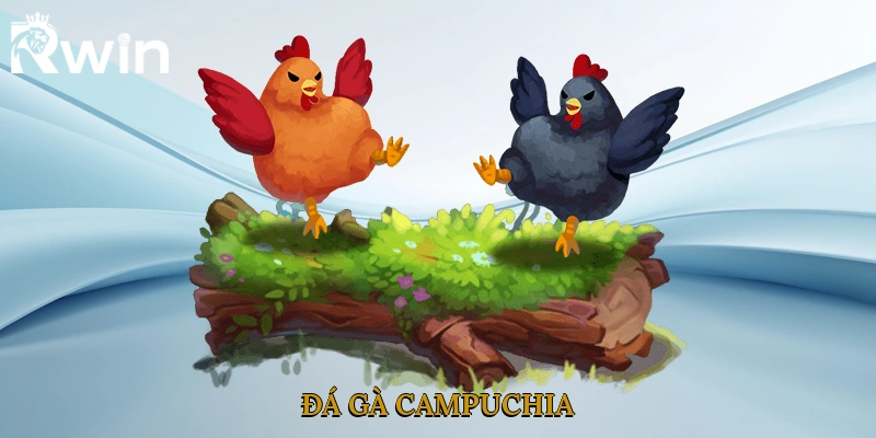 Đá Gà Campuchia