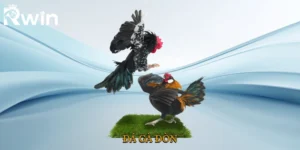 Đá Gà Đòn