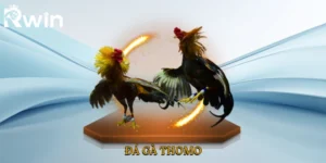 Đá Gà Thomo
