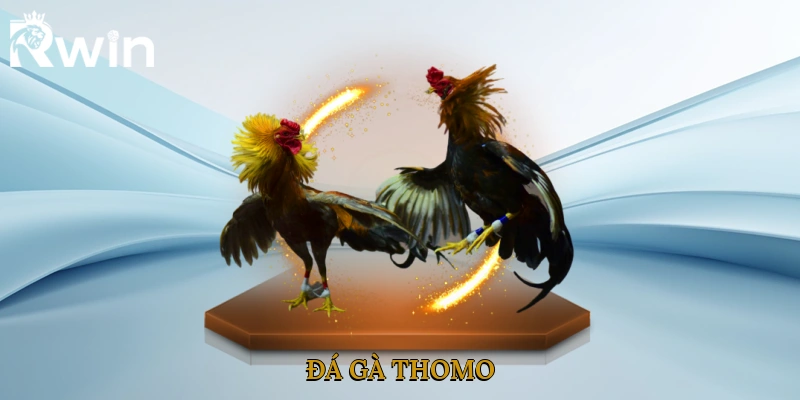 Đá Gà Thomo