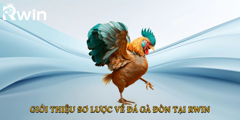 Giới thiệu sơ lược về đá gà đòn tại nhà cái Rwin