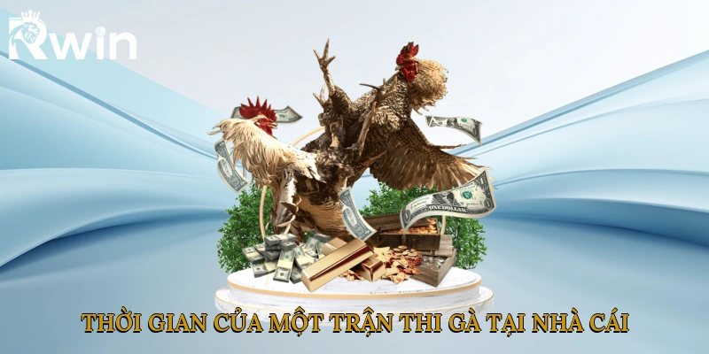 Thời gian của một trận thi gà tại nhà cái